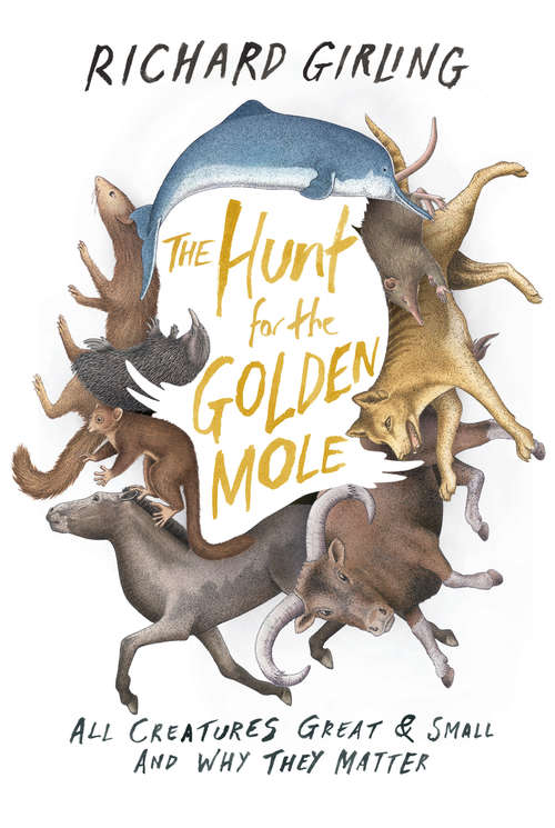 Book cover of The Hunt for the Golden Mole