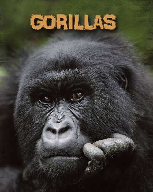 Book cover of Gorillas (Living in the Wild: Primates)