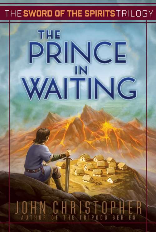 Book cover of The Prince in Waiting