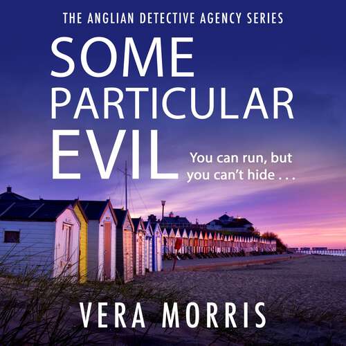 Book cover of Some Particular Evil: The Anglian Detective Agency Series (The Anglian Detective Agency Series #1)
