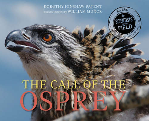 Book cover of The Call of the Osprey (Scientists in the Field Series)
