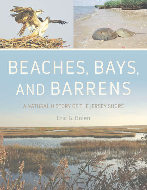 Book cover of Beaches, Bays, and Barrens: A Natural History of the Jersey Shore