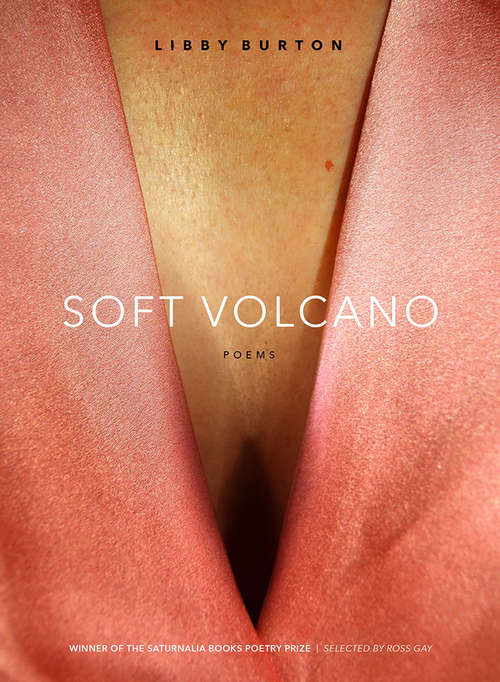 Book cover of Soft Volcano