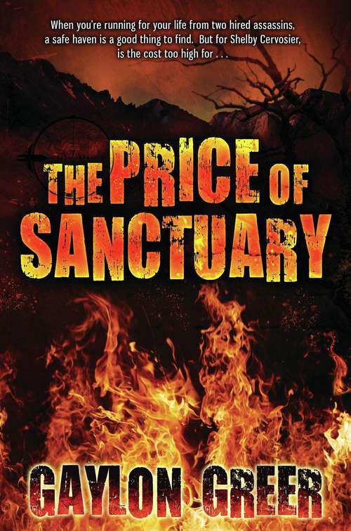 Book cover of The Price of Sanctuary