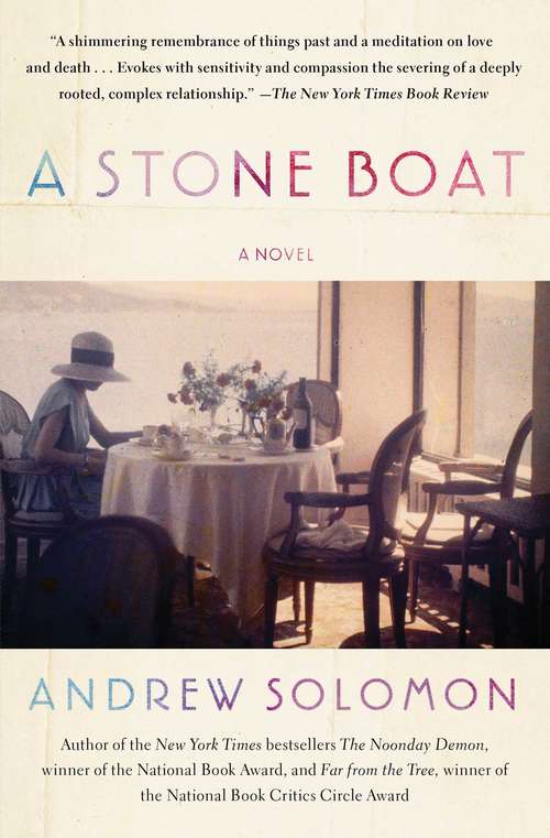 Book cover of A Stone Boat