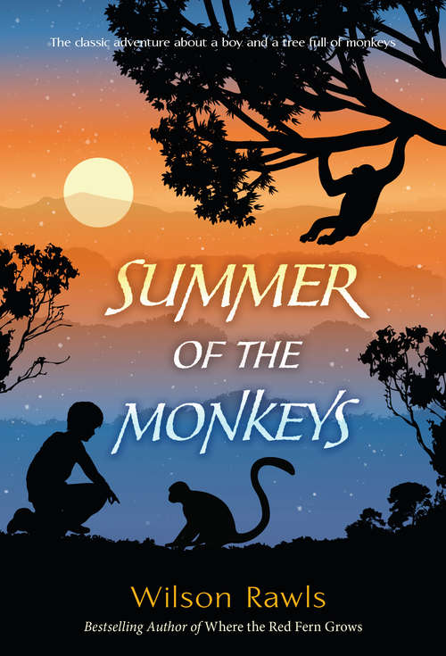 Book cover of Summer of the Monkeys