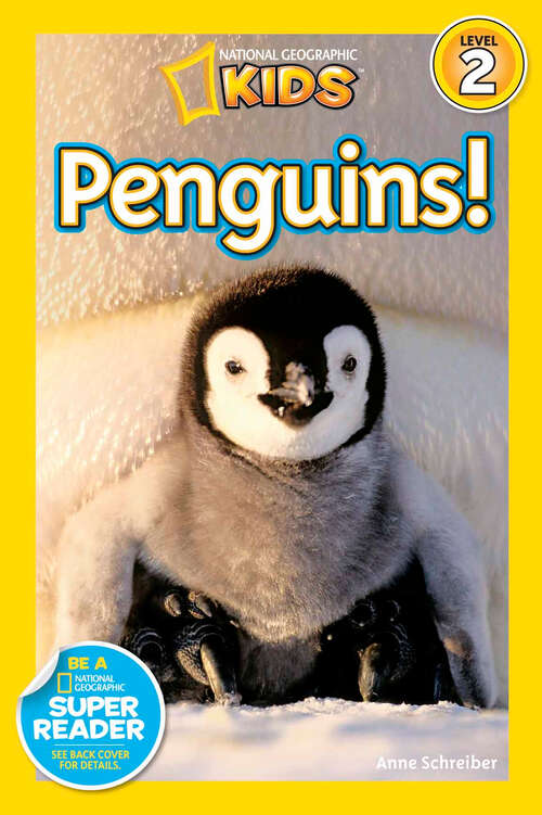 Book cover of Penguins (Readers)