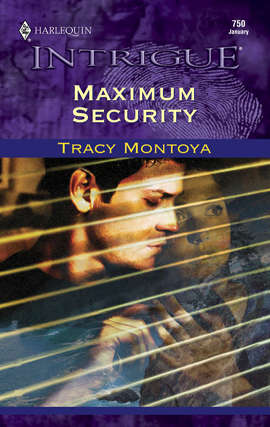 Book cover of Maximum Security