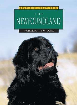 Book cover of The Newfoundland Dog (Learning About Dogs)