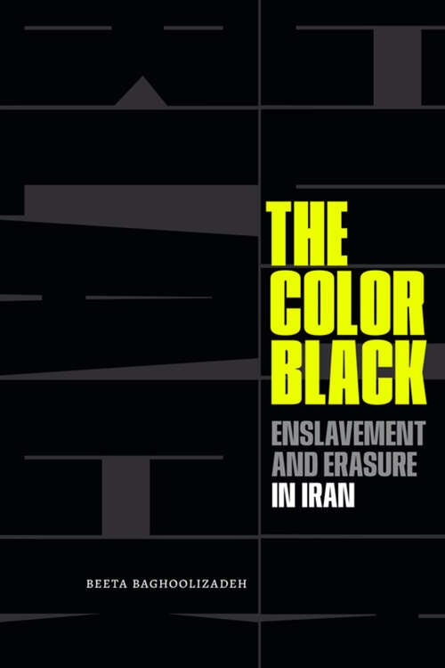 Book cover of The Color Black: Enslavement and Erasure in Iran