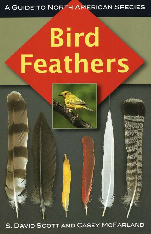 Book cover of Bird Feathers