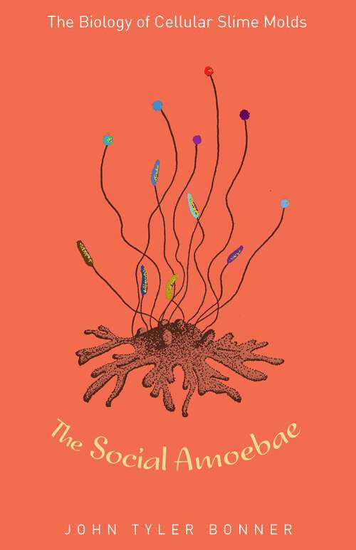Book cover of The Social Amoebae: The Biology of Cellular Slime Molds