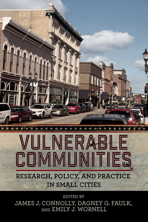 Book cover of Vulnerable Communities: Research, Policy, and Practice in Small Cities
