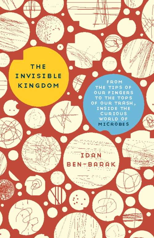 Book cover of The Invisible Kingdom