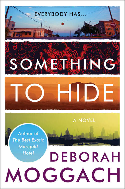Book cover of Something to Hide: A Novel