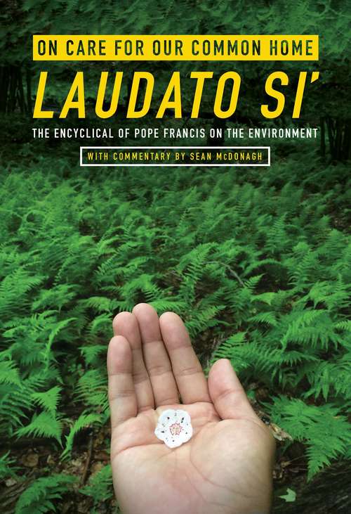 On Care for Our Common Home Laudato Si': The Encyclical of Pope Francis on the Environment (Ecology And Justice)