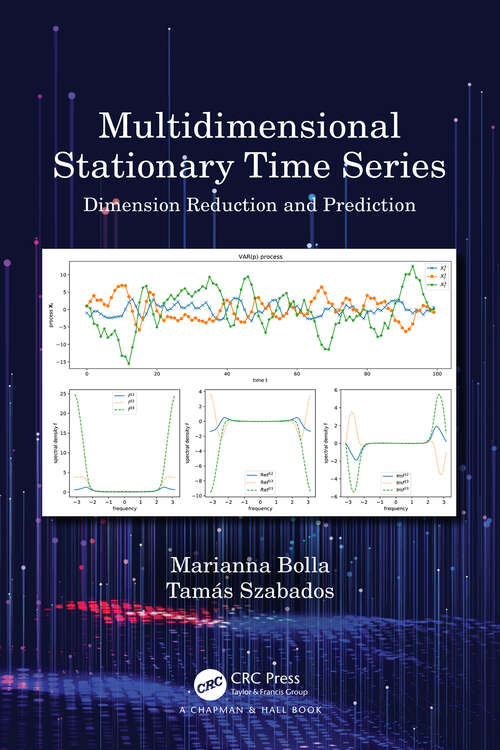Book cover of Multidimensional Stationary Time Series: Dimension Reduction and Prediction
