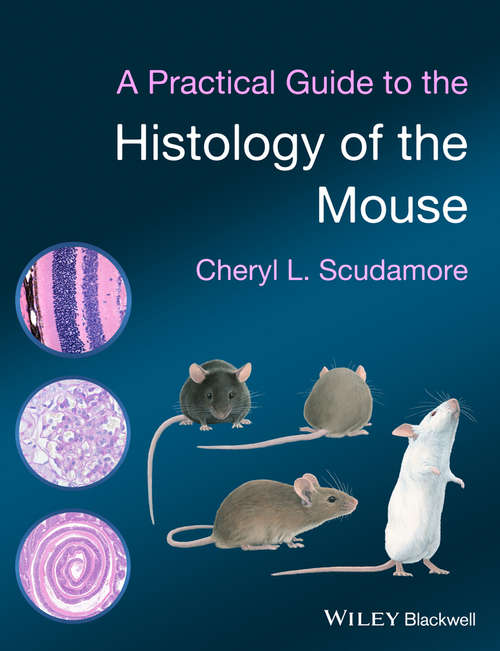 Book cover of A Practical Guide to the Histology of the Mouse