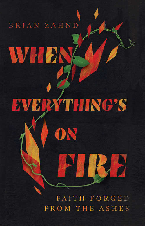 Book cover of When Everything's on Fire: Faith Forged from the Ashes