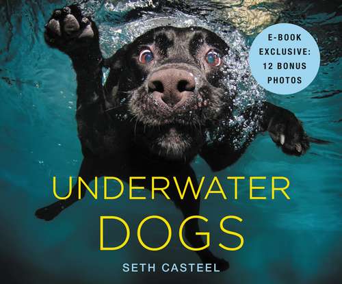 Book cover of Underwater Dogs
