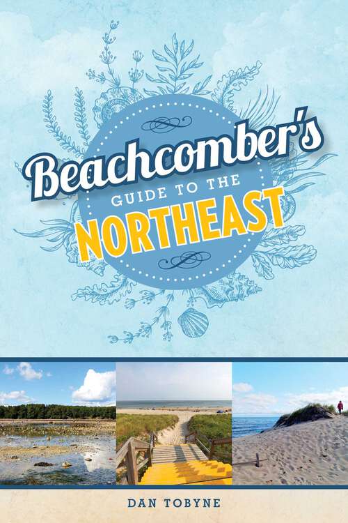 Book cover of Beachcomber's Guide to the Northeast