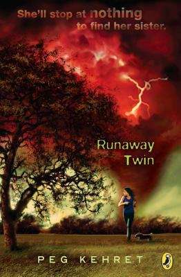 Book cover of Runaway Twin