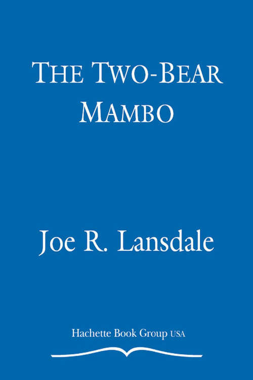 Book cover of The Two-Bear Mambo