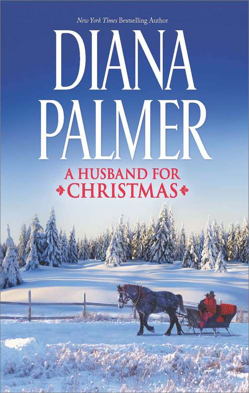 Book cover of A Husband for Christmas