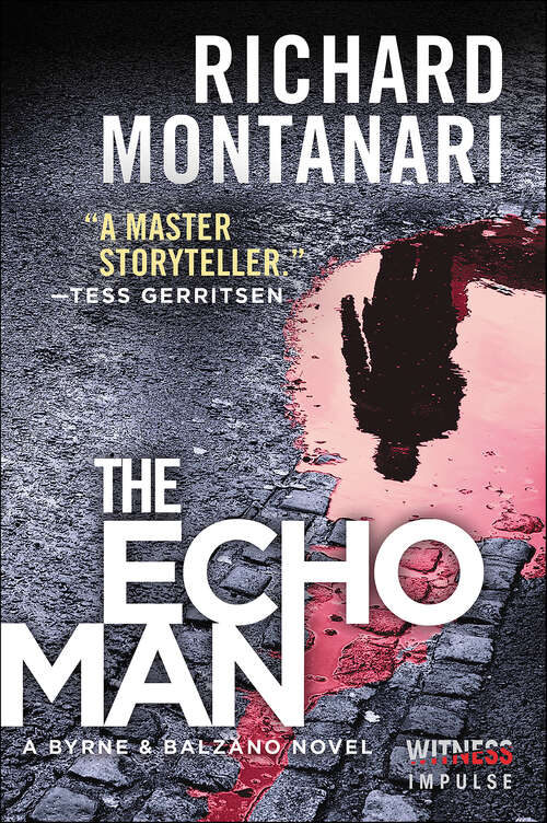 Book cover of The Echo Man: A Novel of Suspense