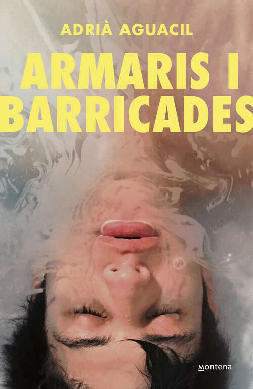 Book cover of Armaris i barricades