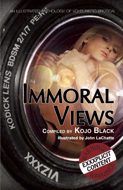 Book cover of Immoral Views