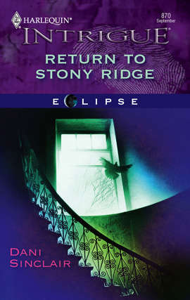 Book cover of Return to Stony Ridge
