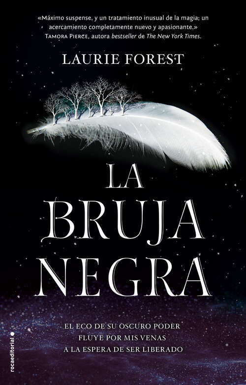Book cover of La Bruja Negra (Las Crónicas de la Bruja Negra 1) (Las Crónicas de la Bruja Negra: Volumen 1)