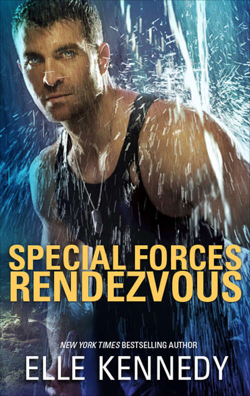 Book cover of Special Forces Rendezvous (The Hunted)