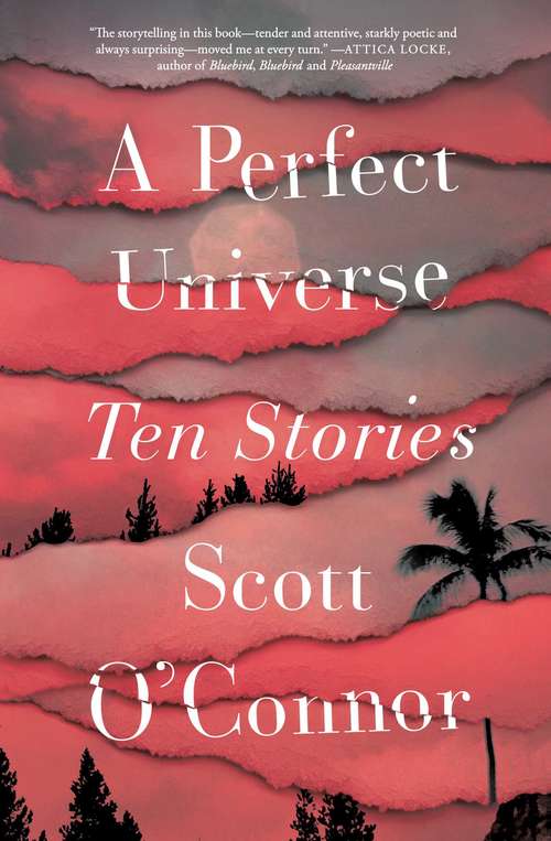 Book cover of A Perfect Universe: Ten Stories