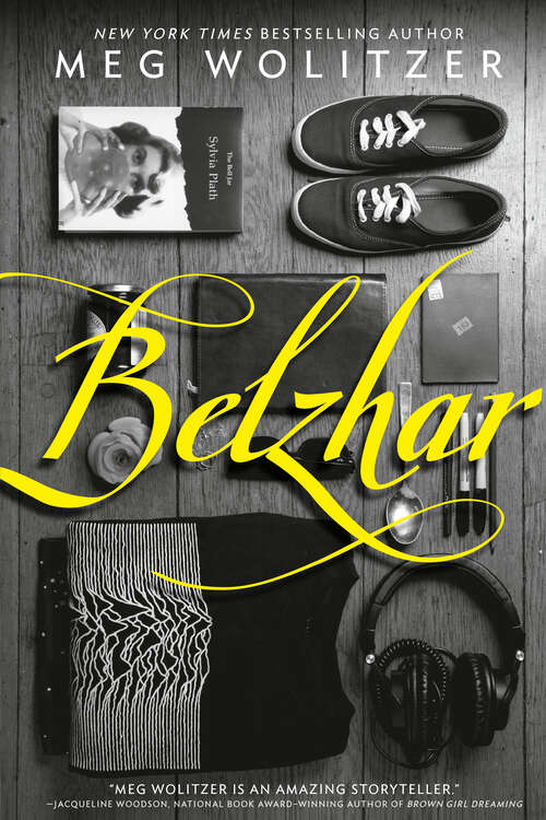 Book cover of Belzhar