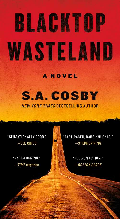 Book cover of Blacktop Wasteland: A Novel