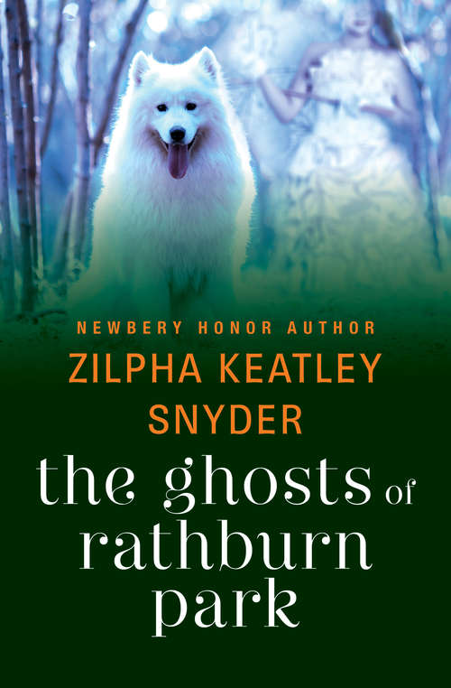 Book cover of The Ghosts of Rathburn Park (Digital Original)