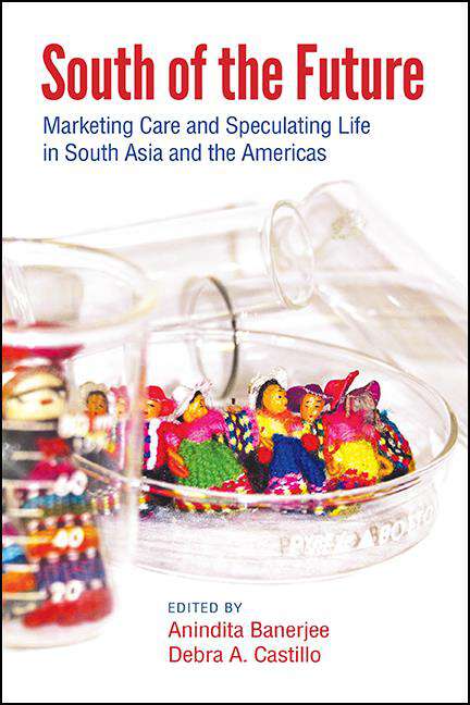 Book cover of South of the Future: Marketing Care and Speculating Life in South Asia and the Americas (SUNY series, Praxis: Theory in Action)