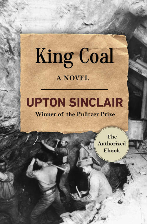 Book cover of King Coal