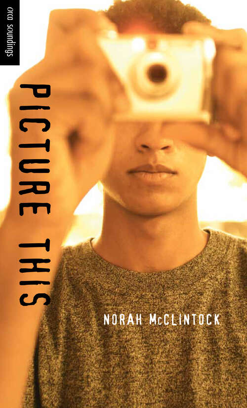 Book cover of Picture This (Orca Soundings)
