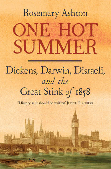 Book cover of One Hot Summer: Dickens, Darwin, Disraeli, and the Great Stink of 1858