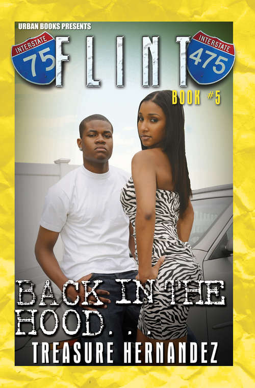 Book cover of Flint 5: Back in the Hood