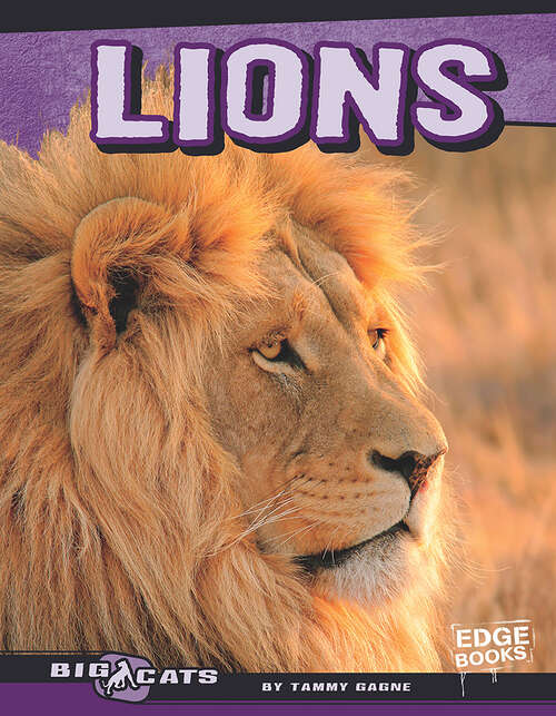 Book cover of Lions: Built For The Hunt (Predator Profiles Ser.)