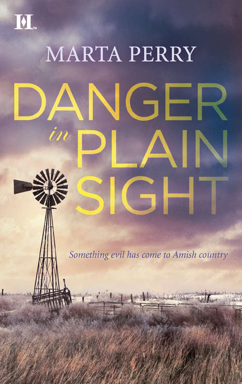 Book cover of Danger in Plain Sight
