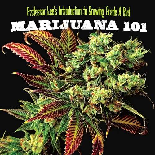Book cover of Marijuana 101