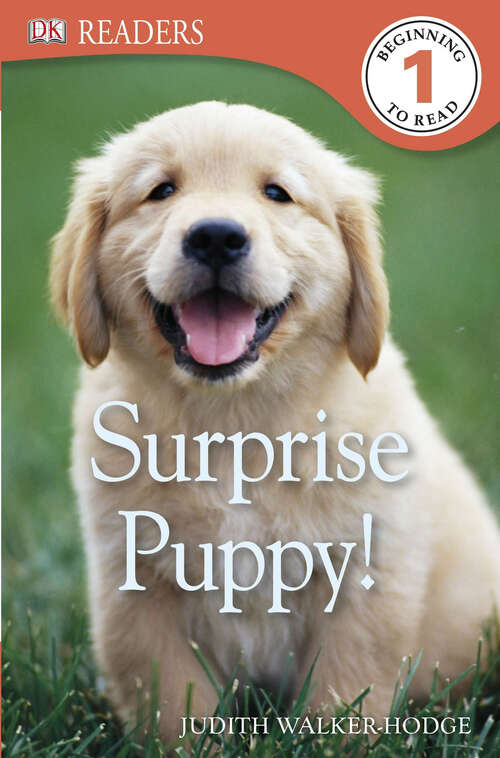 Book cover of DK Readers L1: Surprise Puppy (DK Readers Level 1)