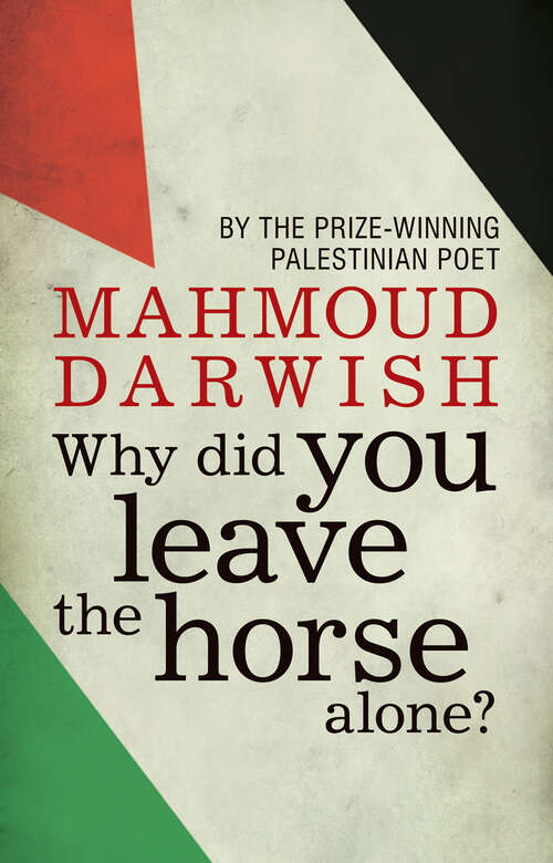Book cover of Why Did You Leave the Horse Alone?