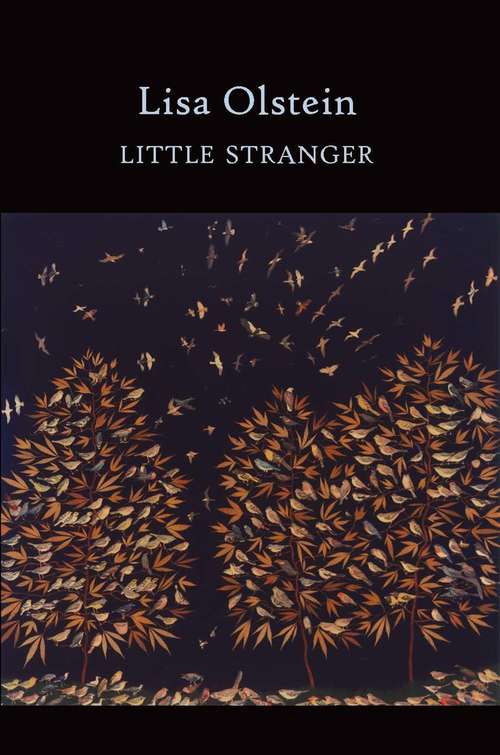 Book cover of Little Stranger