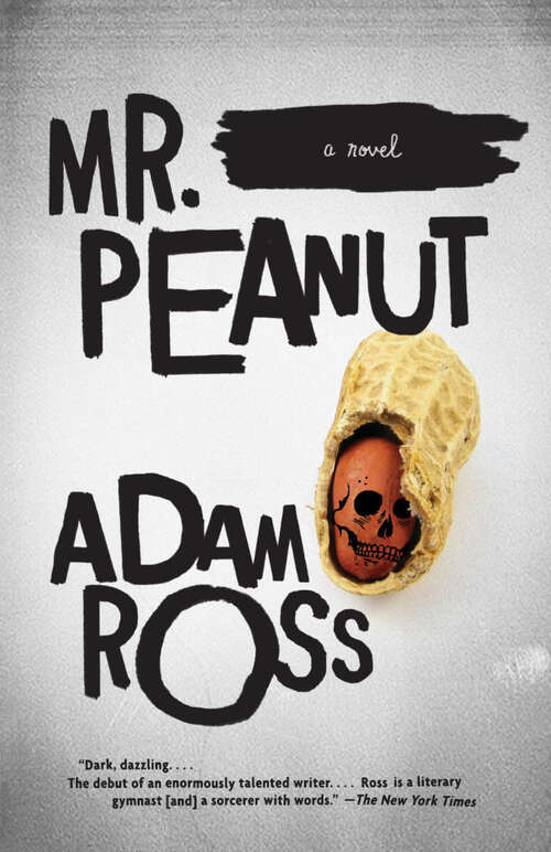 Book cover of Mr. Peanut